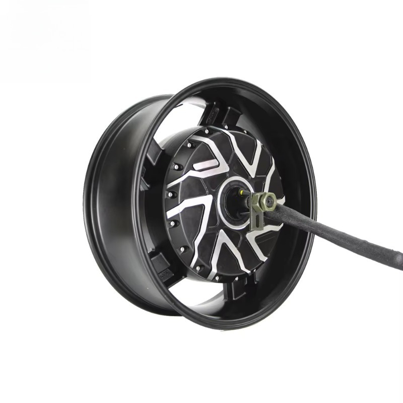 QSMOTOR 17X6.0インチ 273 12000W V - 12000W Electric Motorcycle Hub Motor のレビューと価格